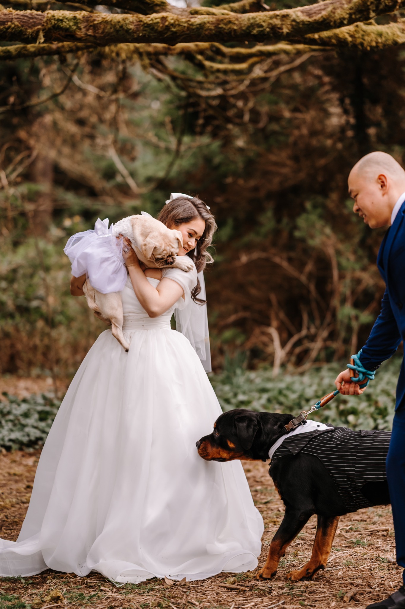 Cascade Vows elopement portfolio image