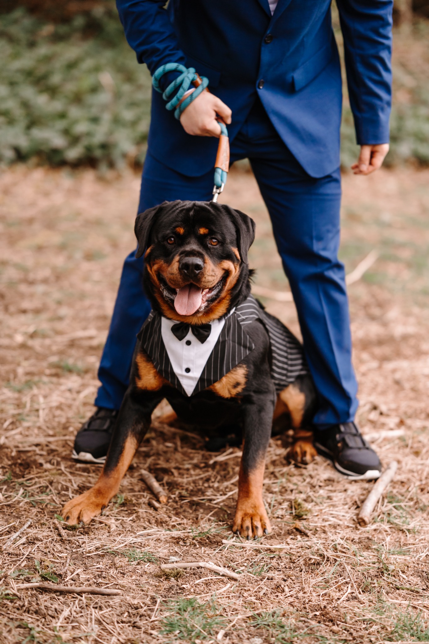 Cascade Vows elopement portfolio image